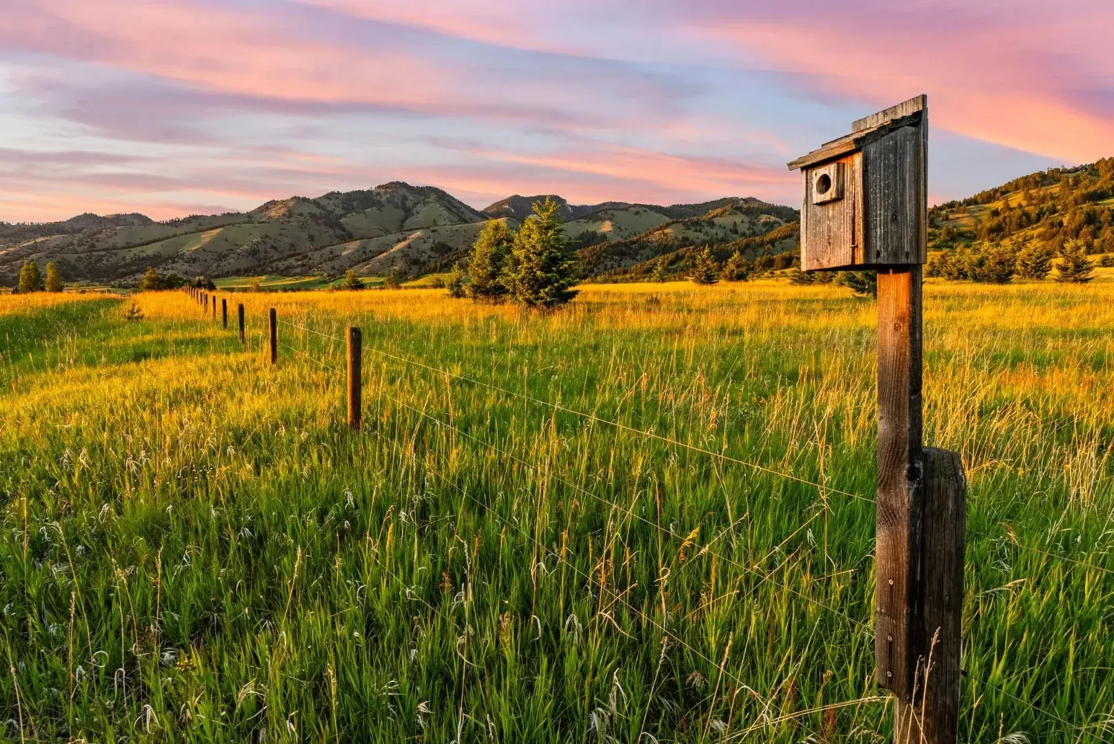 SYPES CANYON FIVE RANGES | Farms For Sale In USA