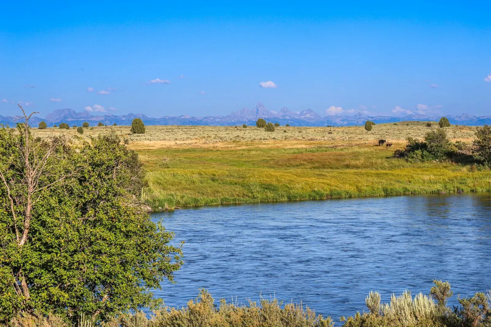 River Pointe Ranch on the Henry's Fork | Farms For Sale In USA